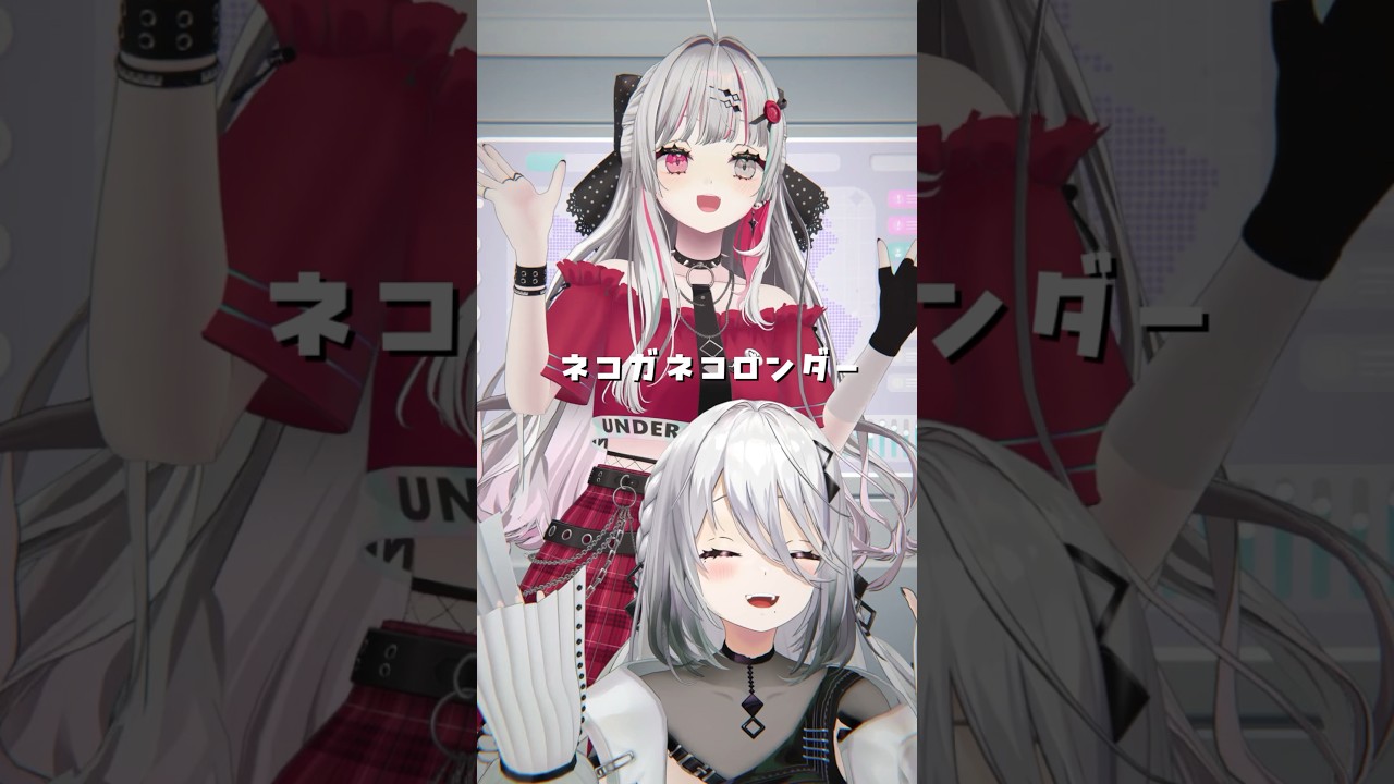 【ネコガネコロンダー】にゃんにゃんねこ🐈