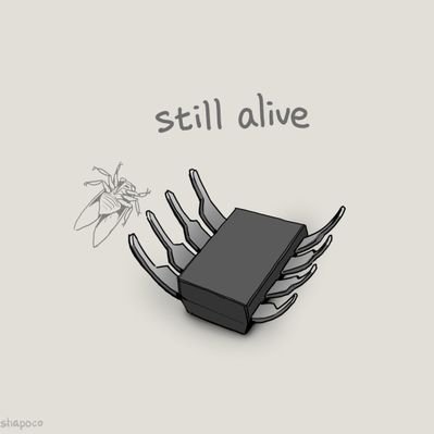 music：ナンプラー専門店